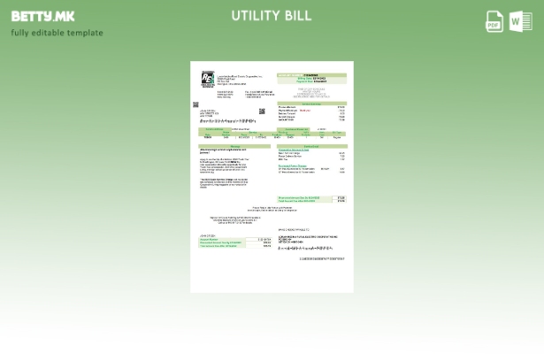 модерен стил САД Охајо Лореин Медина Рурален Електричен шаблон за сметки за кому